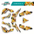 Klistermärkeset CAN-AM Renegade G2 - ATV/UTV Klistermärke - 75ED578F304A40C784 - 2